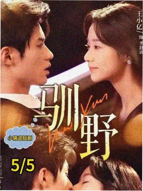 山地书店的声场记录封面